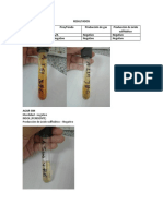 Resultados Lab 8docx