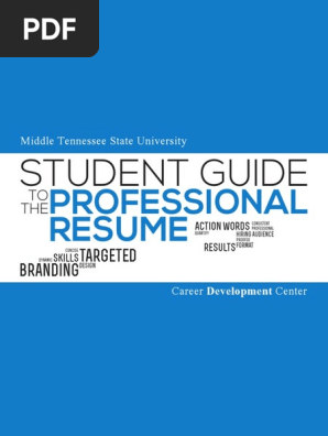 Professional Resume Format