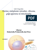 Nukleus, RE, Ribosom, Golgi, Mitokondria 2017