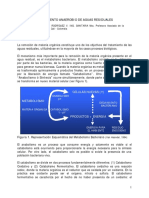 Tratamiento anaerobico de efluentes.pdf