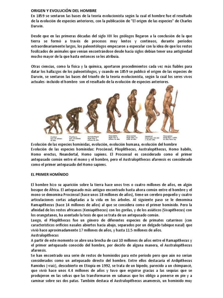 Origen y Evolución Del Hombre | PDF | Homo | Evolución humana