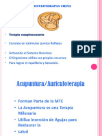 Guia Auriculoterapia.pdf