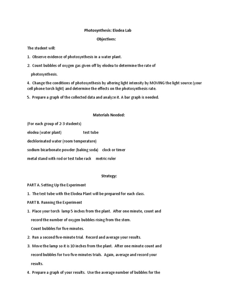 Elodea Lab Photosynthesis PDF Photosynthesis Chemistry
