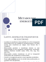 Metabolism Energetic