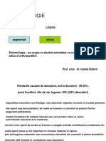 Curs 1+2, Anatomia Insectelor