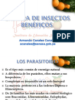 Crianzainsectosbenficoii 111027125519 Phpapp02