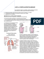 Ventilacion Pulmonar Georgina