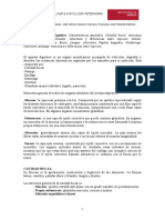 Tema23 Sistema Digestivo PDF