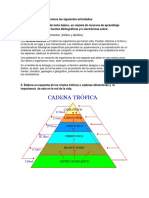 342023388-Tarea2-Rosa.docx