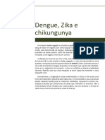 Texto Base Dengue, Zika e Chikungunya