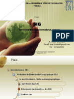 Cours Sig PDF