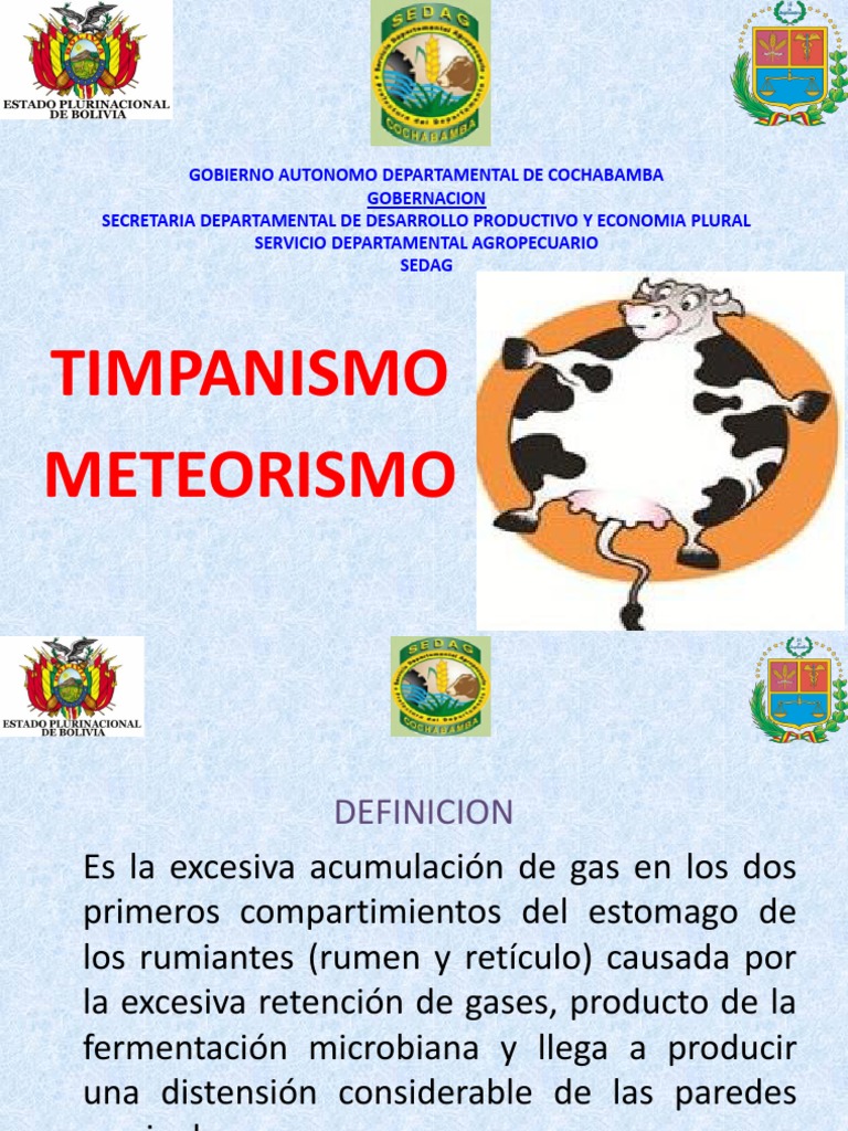 Timpanismo PDF Rumiante Bienestar