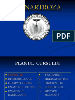 Curs 15 - Gonartroza