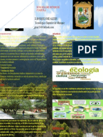 Cartel Ecología Del Estado de COAHUILA