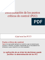 Determinacion de Puntos Criticos HACCP 06