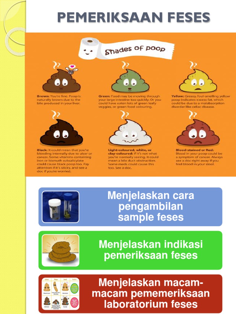Pemeriksaan Feses: Metode dan Indikasi | PDF