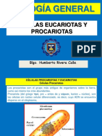 Biología 04-2015-2 Celula Procariota y Eucariota
