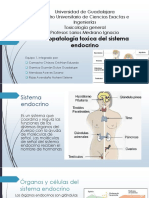 Fisiopatologia Toxica Del Sistema Endocrino