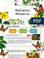 Mariposa Monarca Diane