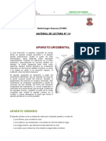 APARATO_UROGENITAL.pdf