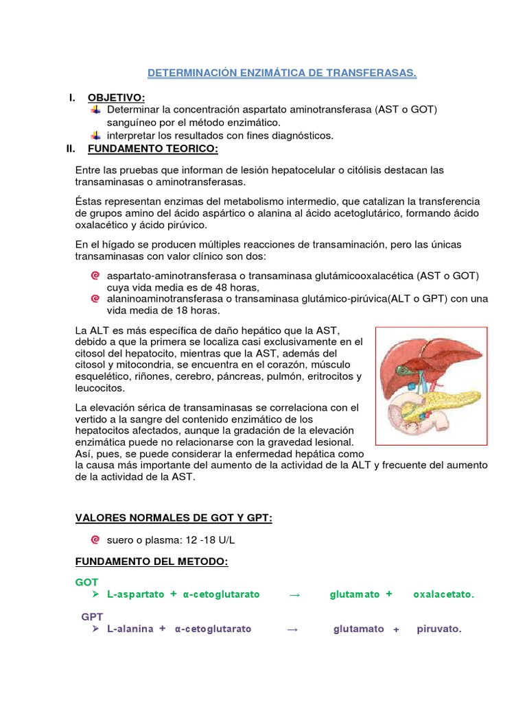 Determinación de Transaminasas Sanguíneas | PDF | Transaminasa ...