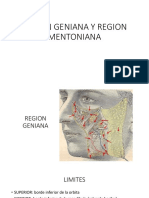 Region Geniana y Region Mentoniana