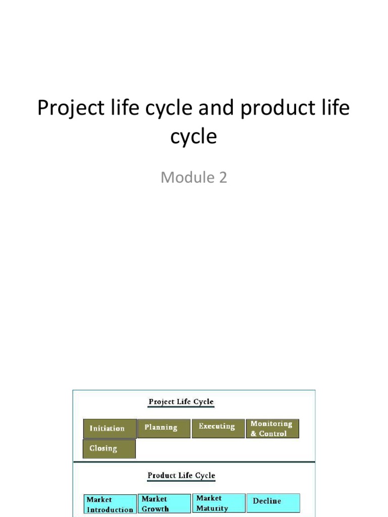 Project vs Product Life Cycle Explained | PDF | Product Lifecycle ...