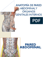 1. Anatomía Femenina (PI).pptx