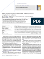 Analytical Biochemistry