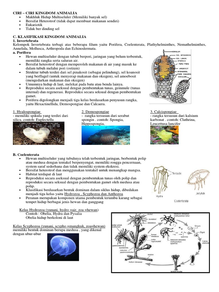 Ciri dan Klasifikasi Kingdom Animalia | PDF | Ilmu Sosial | Sains ...