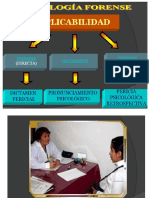 Simulación