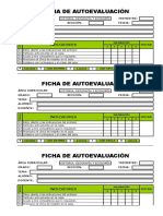 Ficha de Autoevaluación - Individual - 5 Items