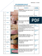 EFLORESENSI KULIT Fitzpatrick Disertai Gambar Yayu