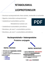4-Nucleoproteine-2016