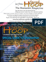 Shamanism Guidebook