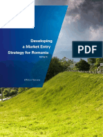Developing Market Entry 2014 EN 1 PDF