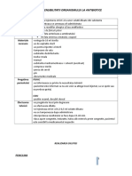 205655406 Testarea La Antibiotic