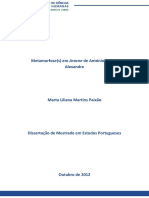 Metamorfose(s) em Aracne de António Franco Alexandre.pdf