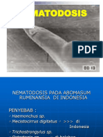 Nematodosis Ruminansia