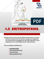 3.- 1.5 Eritropoyesis sin imagenes (terminologia).pdf