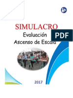 EXAMEN SIMULACRO 2017