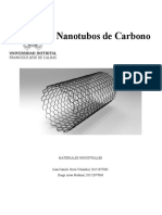 Cartilla Nanotubos de Carbono