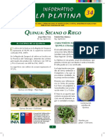 Informativo 34 Quinua Trazos PDF