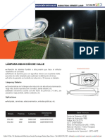 Ficha Tecnica Induccion STREET LAMP PDF