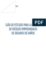 Gu A de Riesgos Empresariales de Seguros de Da Os