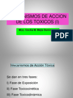 Clase 2 A Fases y Mecanismos de Accion de Los Toxicos (I)