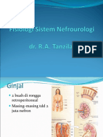 Fisiologi Sistem Nefrologi