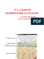 LP1-LEZIUNI-ELEMENTARE-CUTANATE.pptx