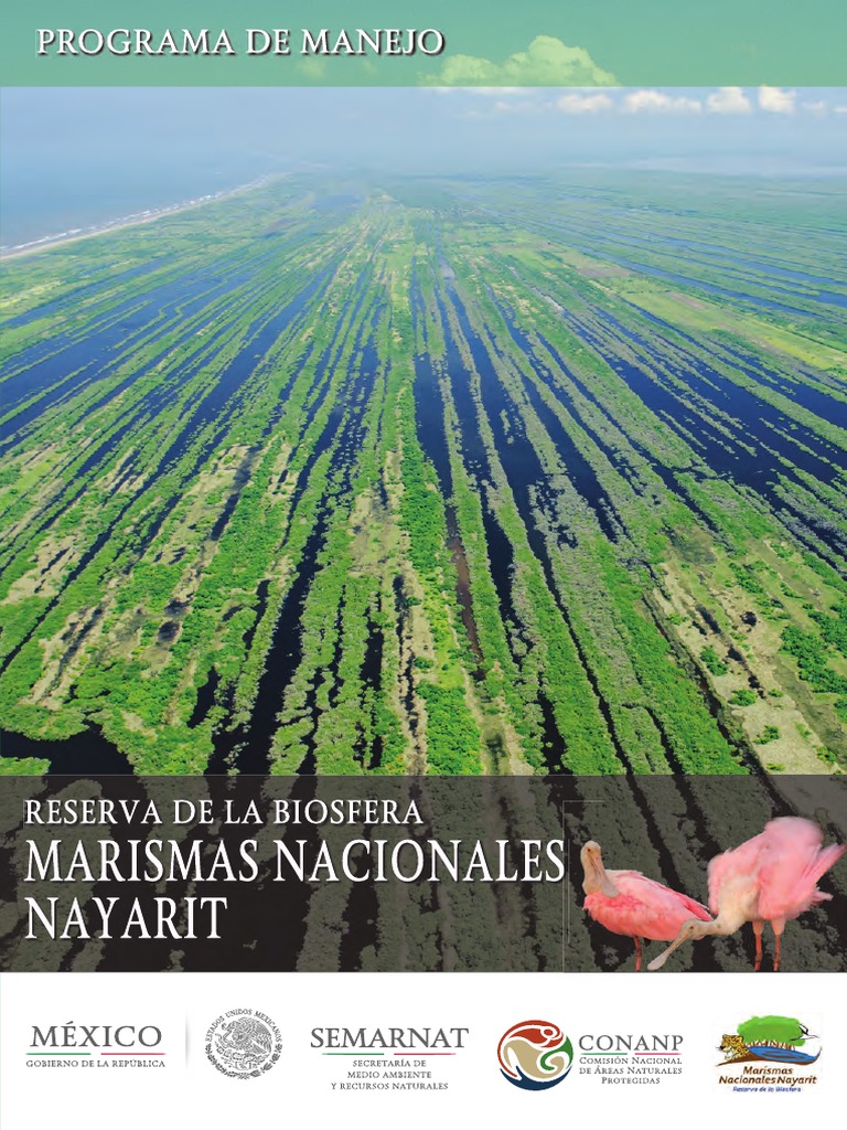 Marismas PDF | PDF | Cartografía | Geomática