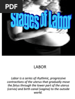 Download Stages of Labor by Zeen_Zeen_Fern_3128 SN36454098 doc pdf